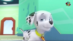 انیمیشن پاو پاترول قسمت هشتم  PawPatrol S01E08